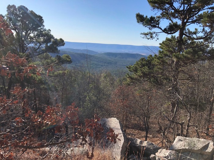 Hx5M6lKeRiaJr1yyEZw%OQ